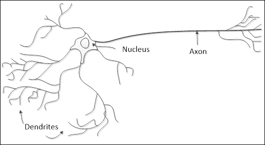 Why artificial neural networks?