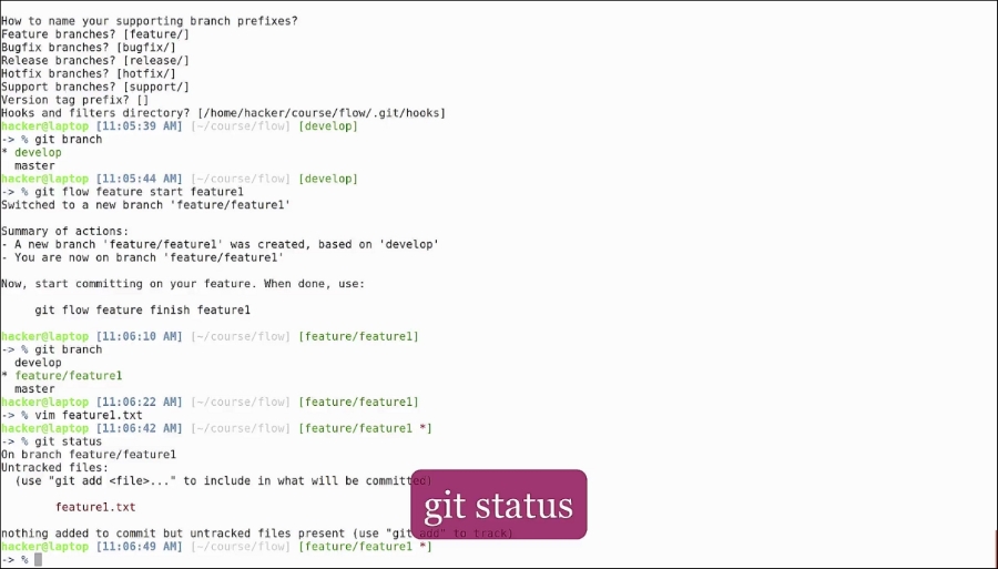 Go with the Git flow