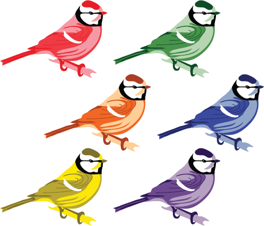 Picture shows same bird in six different colors.