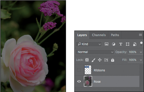 A screenshot of a workspace shows an image of flowers and the Layers panel.