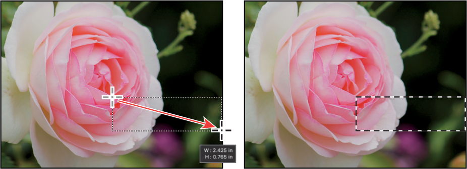 A pair of screenshots show how to use a Rectangular Marquee tool.