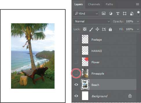 Two screenshots show the effect of hiding the Pineapple layer in 04Working.psd.