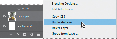 A screenshot shows the context menu of the Pineapple layer with the cursor pointing at Duplicate Layer.