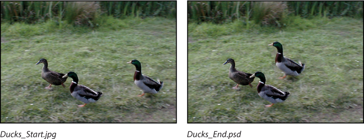 A pair of screenshots show similar images of three ducks, with the position of one of the ducks moved in the second screenshot to make it a tighter cluster formation.