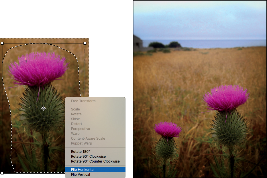 A pair of screenshots show how to apply transformations with the Content-Aware Move tool.