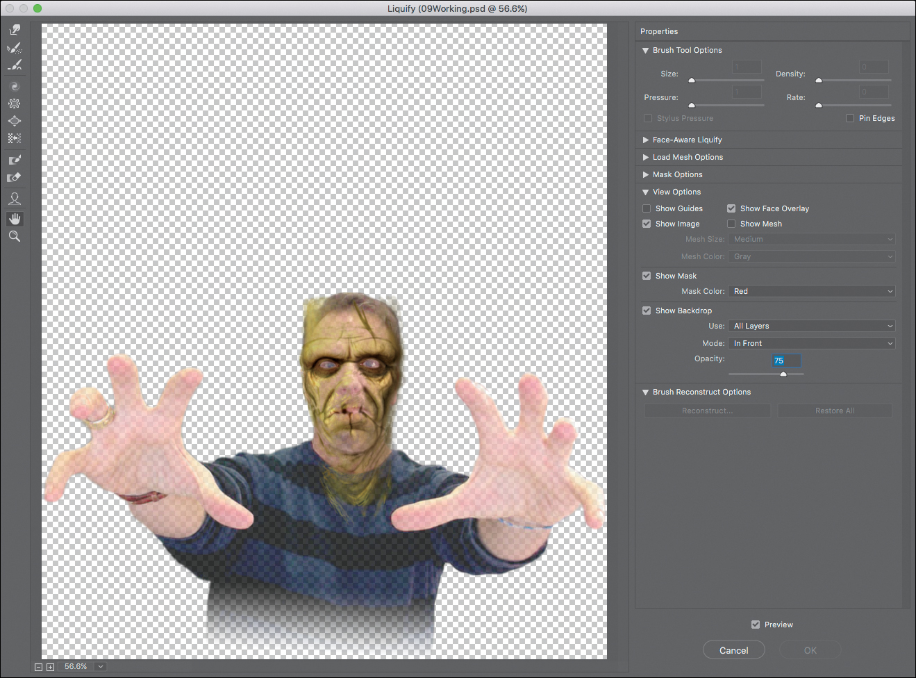 A screenshot shows the image of a person with the applied layer of the green skin texture opened in the Liquify dialog box