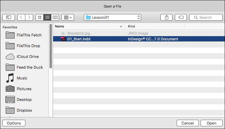 A screenshot shows "Open a File" dialog box with options in "Favorites" panel on the left as "File This Fetch," "File This Drop," "cloud Drive," Feed The Duck," "Music," "Picture," "Desktop," and "Drop box." with the "Option" button below this panel. It also shows various tools at the top, and a search button near the top right corner. The buttons "Cancel" and "Open" are near the bottom right corner. The 01_Start.indd file in the Lesson01 folder is shown in the middle.