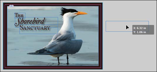 A screenshot shows the picture of a bird with text "The Shorebird Sanctuary." The text is highlighted.