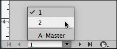 A screenshot shows the displaying options as "1," "2," and "A- Master." The option 2 is selected.