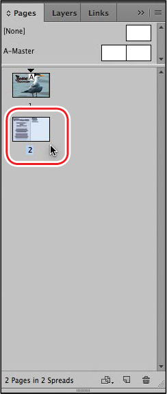 A screenshot shows the "Pages panel" with two pages displayed in the panel. The page are numbered 1 and 2 and page 2 is highlighted.