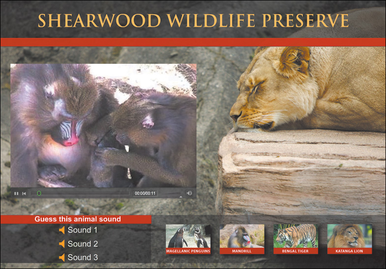 A screenshot shows an application window with heading at the top as "Shearwood Wildlife Preserve." It shows a video clip running with control buttons below the clip. It also shows various sound tracks and video clips at the bottom. A photo of a lion sleeping on a rock is shown next to the clip.
