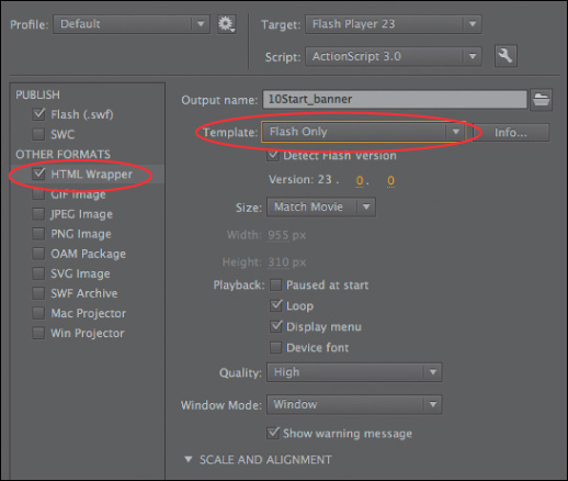 A screenshot shows the format selections in the Publish settings dialog box.