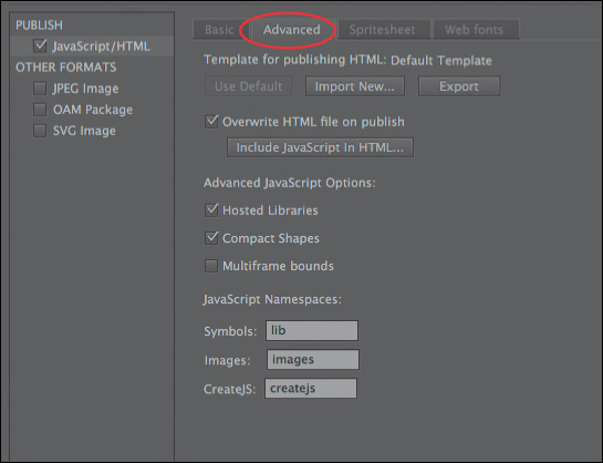 A screenshot shows the Advanced tab settings in Publish Settings dialog box.