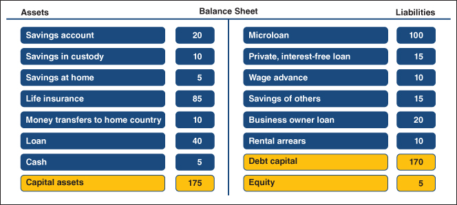 Depiction of Balance Sheet of a Micro Enterprise in Bangladesh (in $).
