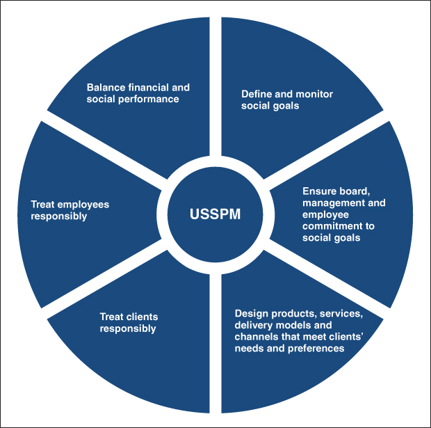 Scheme of USSPM.