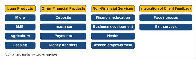 Illustration of Products and Services of MFIs.