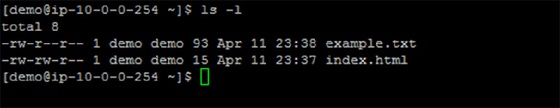 Screenshot shows -rw-r--r--1 demo demo 93 Apr 11 23:38 example.txt  -rw-r--r--1 demo demo 15 Apr 11 23:57 index.html. 