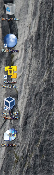 Screenshot of a home screen with icons for Recycle Bin, Pale Moon, and VMware Workstation Player, Oracle VM VirtualBox, and an external disk.