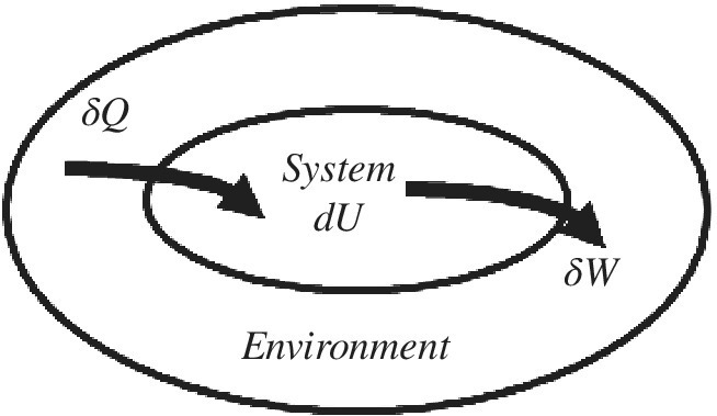 Schematic of mechanical work done on a system, displaying 2 concentric ellipses labeled System dU (inner) and Environment (outer) with δQ arrow from Environment to System dU and δW arrow from System dU to Environment.