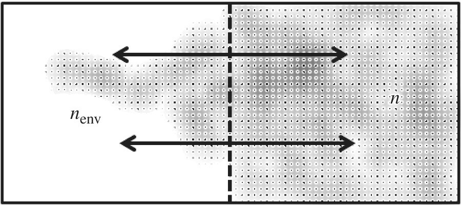 Schematic illustration of system with n particles and nenv environment particles