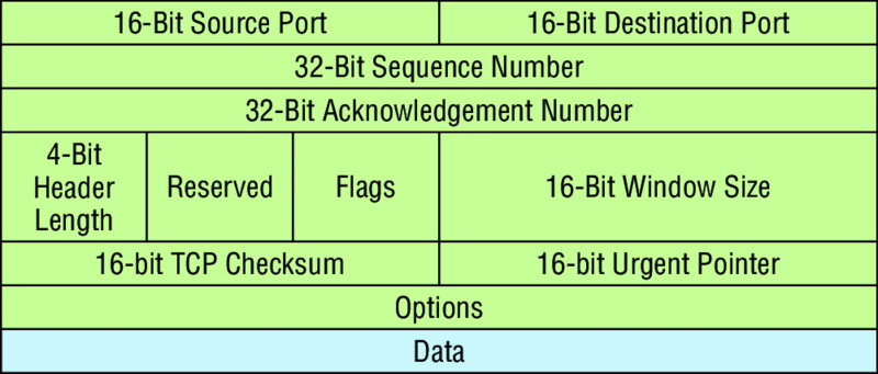 Diagram shows a data structure header that includes source port, destination port, sequence number, acknowledgment number, header length, reserved, flags, window size, TCP checksum, urgent pointer, options and data.