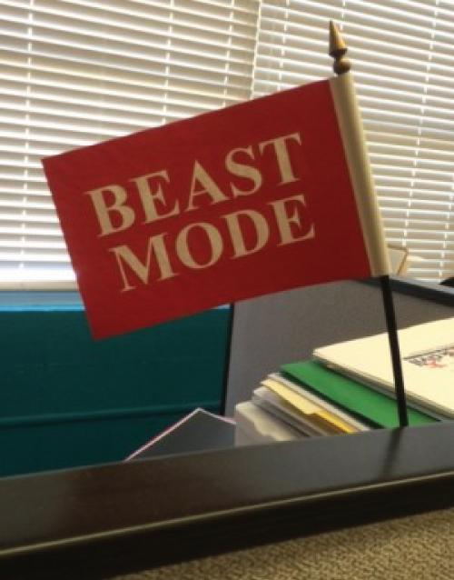 Photo image of a beast mode flag.