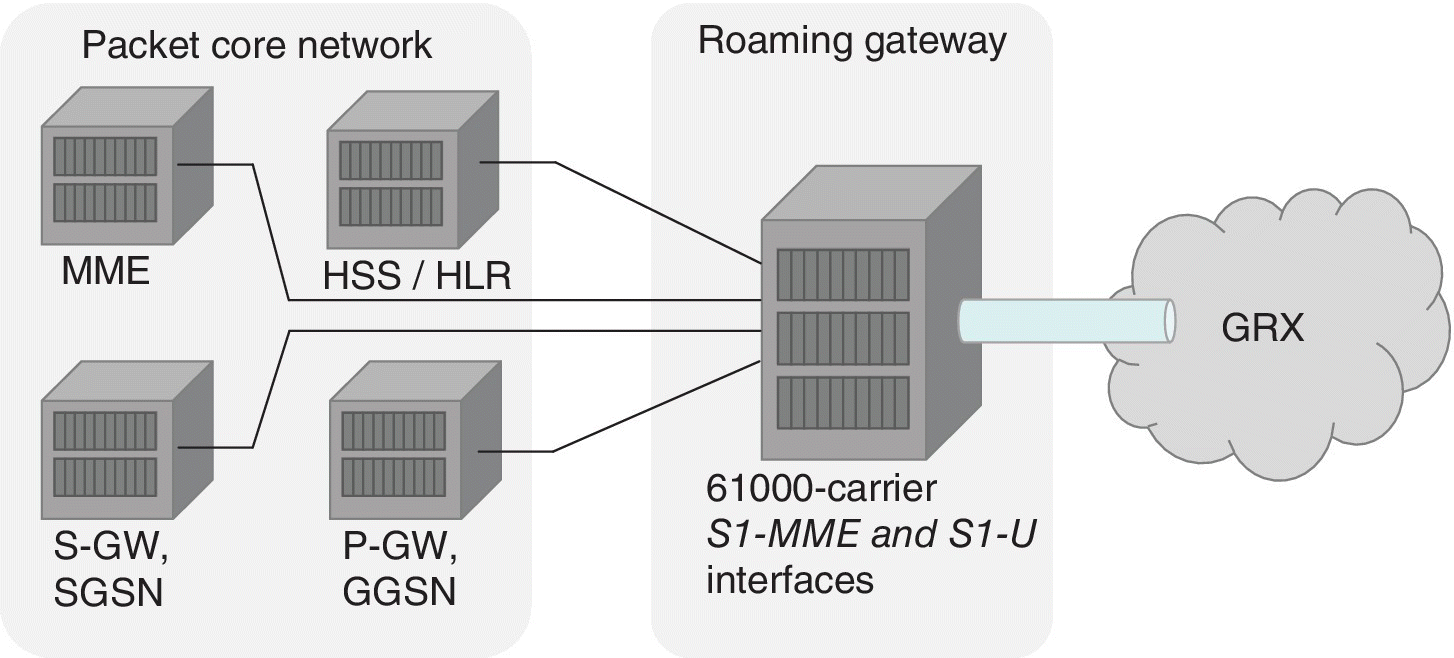 Network diagram illustrating an example of Check Point acting as a roaming gateway, featuring packet core network, roaming gateway, and GRX.