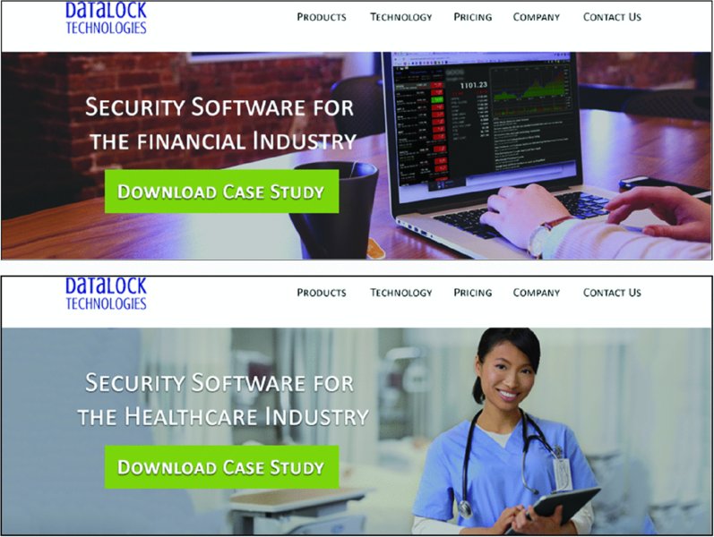 Screenshot shows two versions of home page of Datalock Technologies website. One with a photo of hands typing on laptop and the other with a photo of a lady doctor. The caption is Security Software for the Finance Industry.