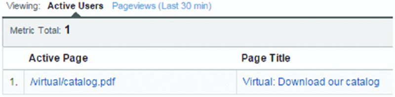 Screenshot shows a window with header viewing: active users pageviews(Last 30 min); a table with columns active page and page title are represented. The metric total is 1.