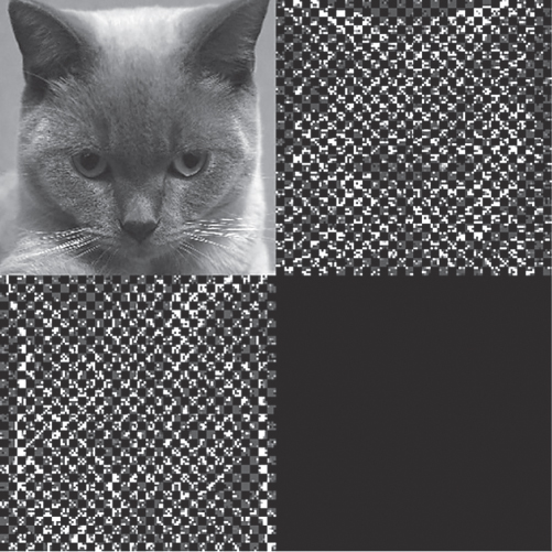 A square having four quadrants with first and third quadrants displaying light shaded figure of a cat's face, second quadrant is an image of a cat's face, and fourth quadrant is a dark shade.
