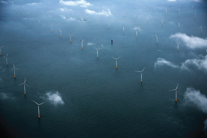 Photo of London array wind farm after installation.