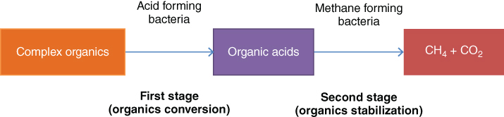 Schematic illustration of organic matter conversion in the absence of oxygen.