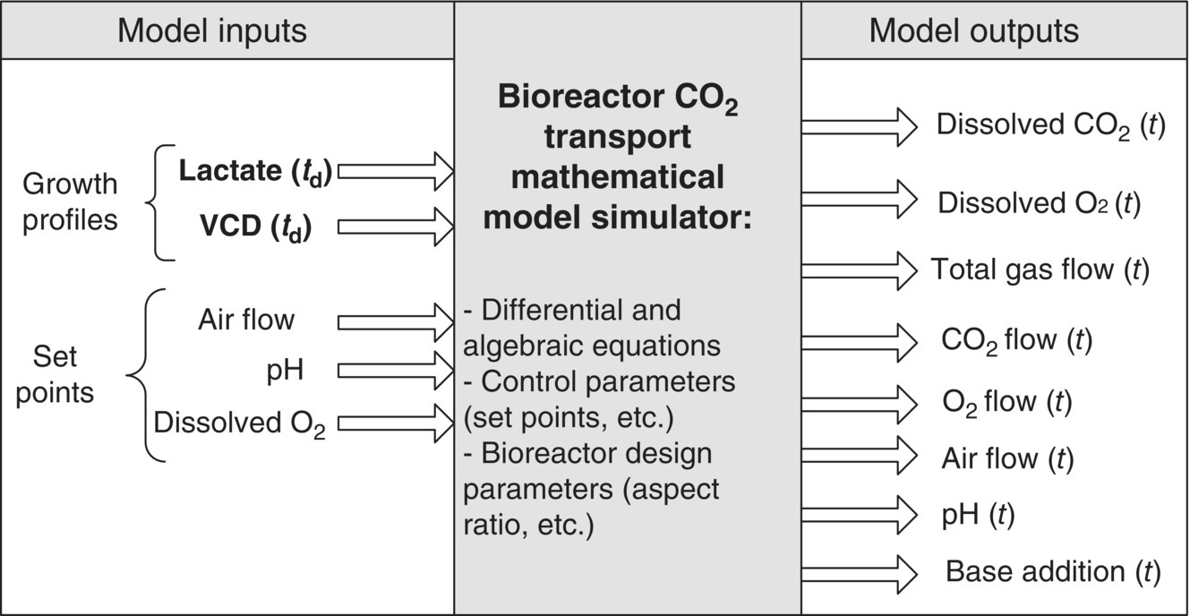 A table containing right arrows from model inputs such as growth profiles and set points to bioreactor CO2 transport mathematical model simulator and to model outputs such as pH (t), total gas flow (t), etc.