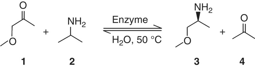 Reaction schematic of compound 1 added with compound 2 in the presence of enzyme and H2O, 50°C producing compound 3 added with compound 4.