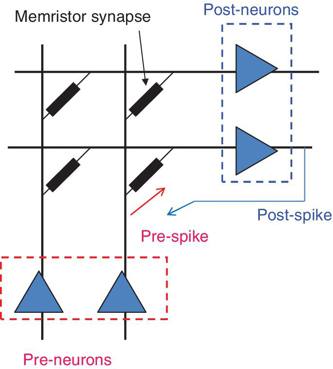Typical neuromorphic network for Memristor synapse STDP application using ferroelectric tunnel memories for synapsis. Dashed rectangles depict Memristor synapse. Post- and pre-neurons are within dashed boxes.