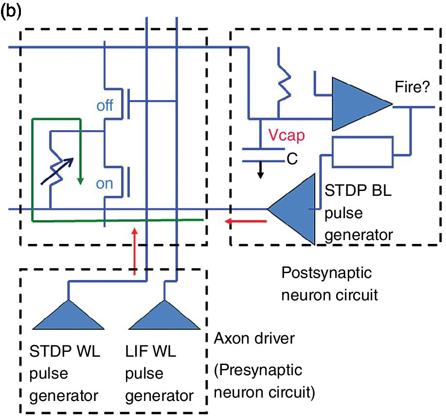 Diagram of neuromorphic circuits in STDP mode, with the post synaptic neuron circuit and axon driver enclosed in dashed boxes.