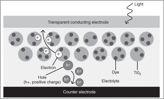 Diagram of a dye-sensitized solar cell depicting a transparent conducting electrode and counter electrode.