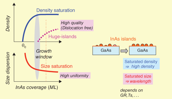Graphs of density vs. θc, with ascending curves for density saturation and high quality and size dispersion vs. InAs coverage, with a descending curve for size saturation (left) and an right arrow from GaAs to GaAs (right).