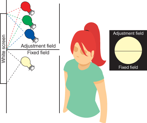 Schematic displaying a single bulb in the fixed field and 3 bulbs with various colors in the adjustment field having dashed lines linking to a white screen (left), a woman (middle), and a circle divided into halves (right).