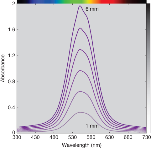 Absorbance vs. wavelength (nm) displaying 6 stacked curves with labels 6 mm and 1 mm.
