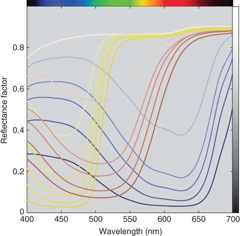 Reflectance factor vs. wavelength (nm) displaying 16 curves clustered according to four different colors depicting the results for spectral reflectance factor of polyester tints and blank-dyed fabric.