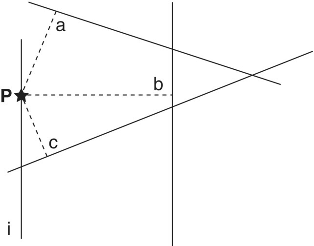 Illustration of the distance of the random point P in line i to the nearest line (di = c), with a star labeled P and 3 dashed lines (a, b, and c) radiating from P.