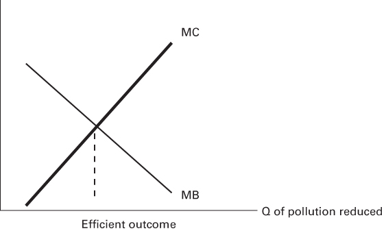Graphical illustration of Efficient Outcome with Certain Costs and Benefits.