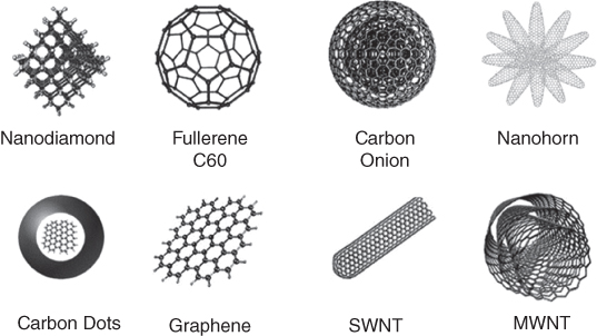 Members of the carbon nanomaterial family: nanodiamond, fullerene (C60), carbon onion, nanohorn, carbon dots, graphene, SWNT, and MWNT.