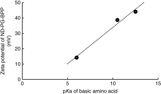 Graph of the linear relationship between pKa of His, Lys, and Arg with zeta potential of ND-PG-His8, ND-PG-Lys8, and ND-PG-Arg8, displaying an ascending dotted line with 3 closed circle markers.