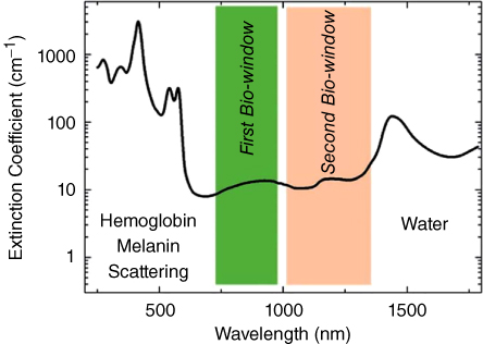 Graph displaying 2 shaded vertical bars labeled First Bio-window and Second Bio-window along a fluctuating curve with left area labeled Hemoglobin, Melanin, and Scattering and right area labeled Water.