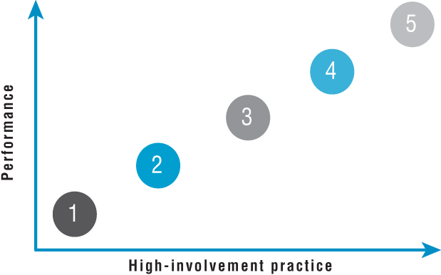 Illustration of the five-stage high-involvement innovation model.