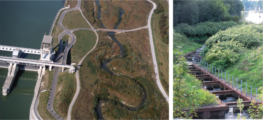 The illustration shows two images. The image on the left shows an aerial view of the Donaukraftwerk Freudenau power plant. The image on the right shows a fish ladder at the Werser power plant.