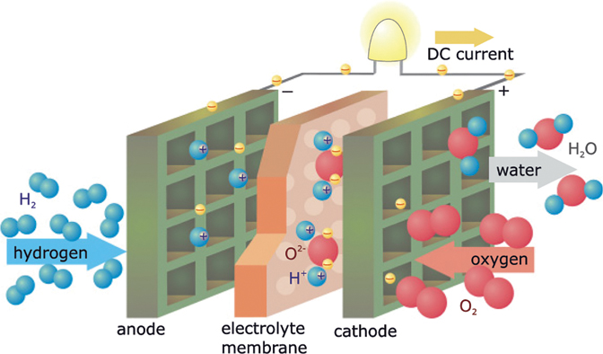 The illustration shows one fuel cell consisting of two electrodes and they are connected by DC current. There is an electrolyte membrane between two electrodes.