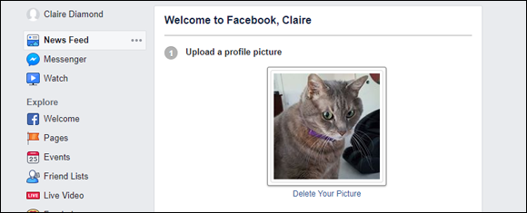 Screen capture of the Add Picture area of Facebook page with a cat photo uploaded and Delete Your Picture option below.